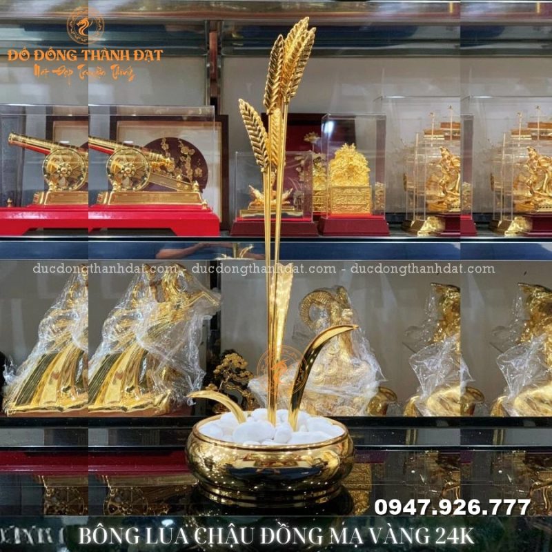 BongLuaMachChauDongMaVang24k
