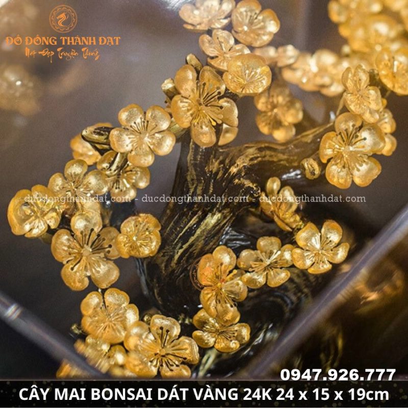 Cây mai bonsai dát vàng 9999