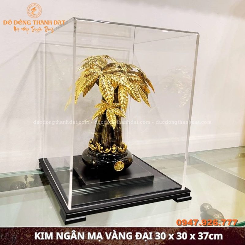 Cây kim ngân mạ vàng 24k