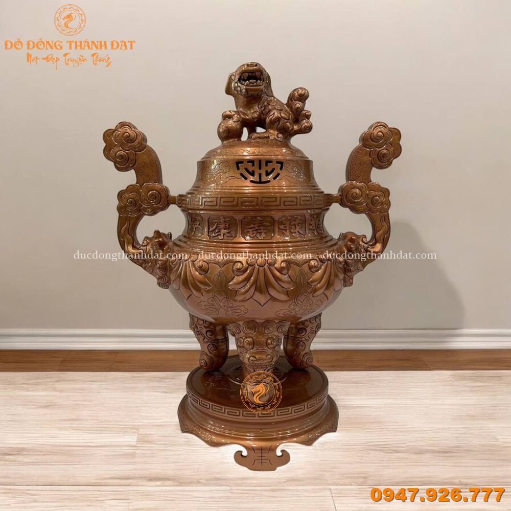 Đỉnh hoa sòi đồng đỏ cao 60cm 