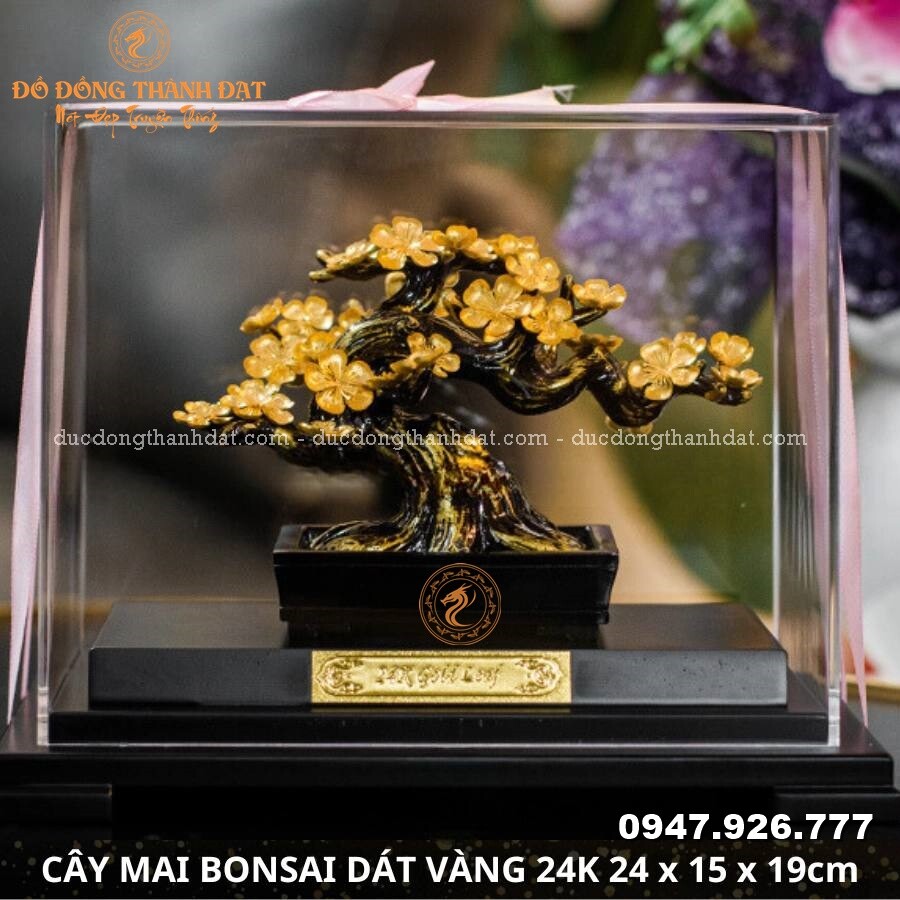 Cây mai bonsai dát vàng 9999 Kt: 24x15x19cm