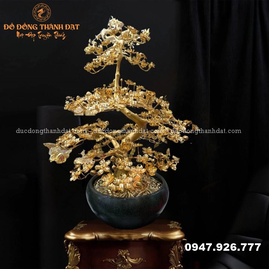 Chậu mai dát vàng 24k cao 75cm