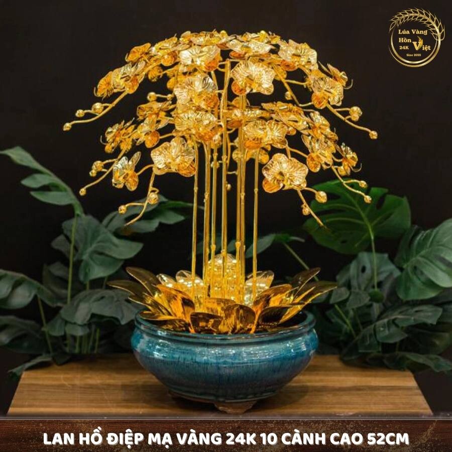 Chậu lan hồ điệp mạ vàng 24k 10 cành