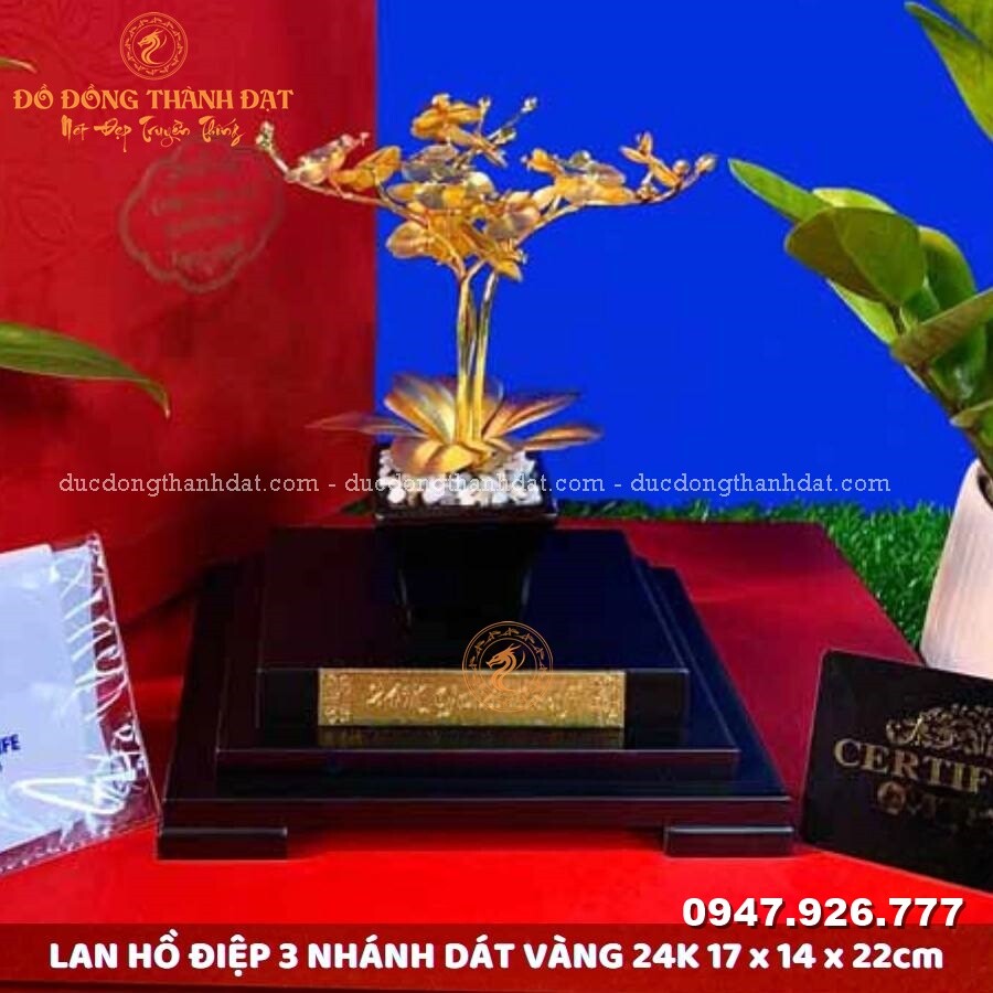 Chậu lan hồ điệp mạ vàng 24k 3 cành