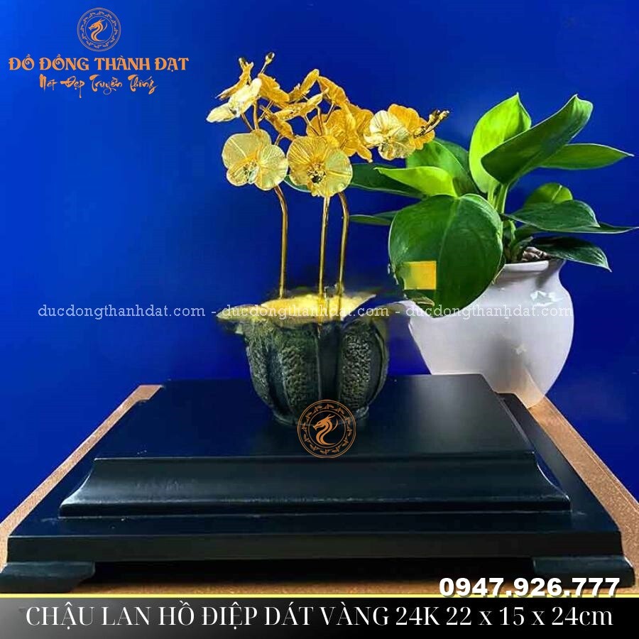 Chậu lan hồ điệp mạ vàng 24k 3 cành