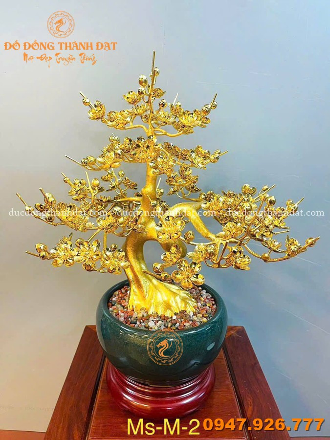 Tổng hợp các mẫu chậu mai mạ vàng 24K, dát vàng 9999 cao cấp đẹp nhất hiện nay 6 Cac Mau Chau Hoa Mai Ma Vang 24k (10)