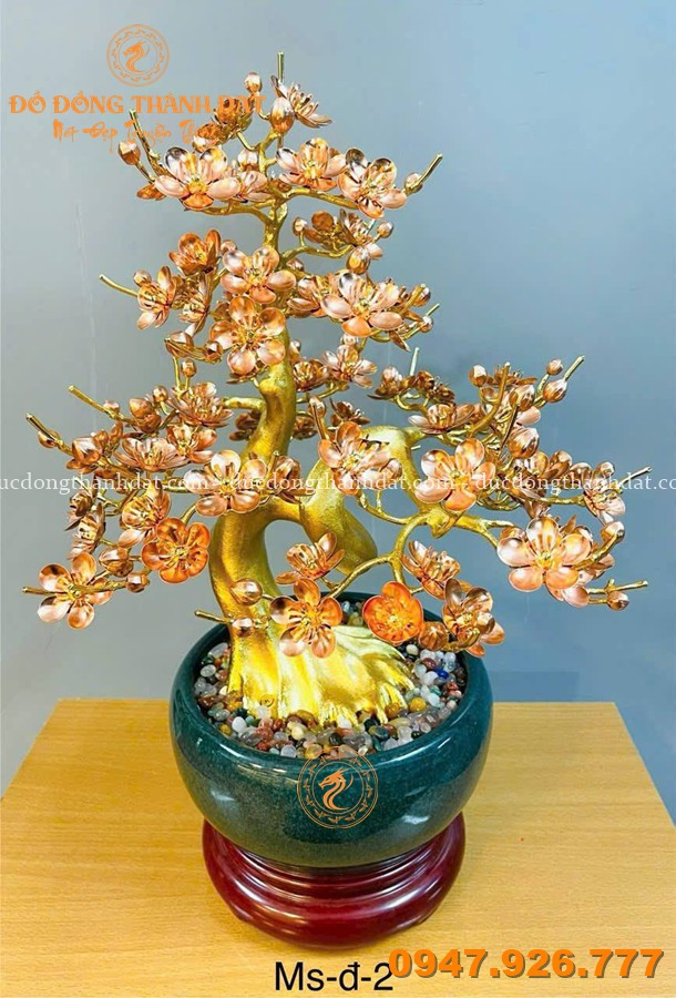 Tổng hợp các mẫu chậu mai mạ vàng 24K, dát vàng 9999 cao cấp đẹp nhất hiện nay 1 Cac Mau Chau Hoa Mai Ma Vang 24k (3)