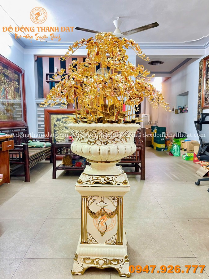 Chậu Lan Mạ Vàng 25 Cành Cao 1m6 4 Chau Lan Ma Vang 25 Canh (2)