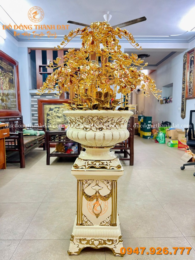 Chậu Lan Mạ Vàng 25 Cành Cao 1m6 3 Chau Lan Ma Vang 25 Canh (3)