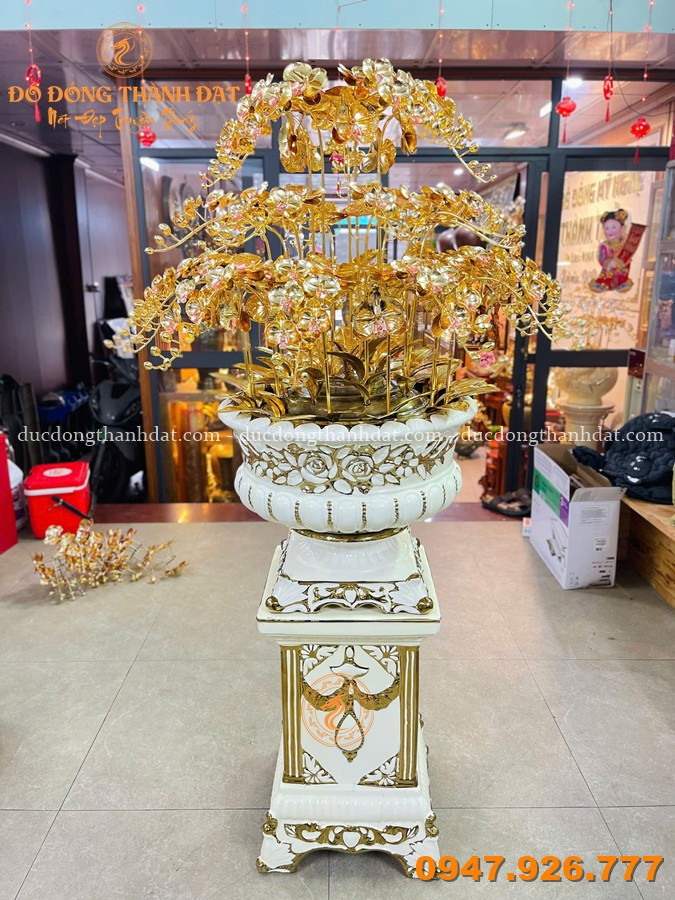 Chậu Lan Mạ Vàng 25 Cành Cao 1m6 2 Chau Lan Ma Vang 25 Canh (5)