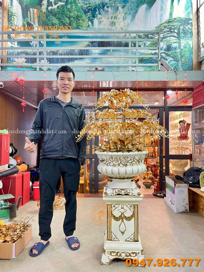 Chậu Lan Mạ Vàng 25 Cành Cao 1m6 5 Chau Lan Ma Vang 25 Canh (6)